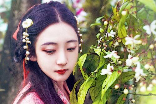 绝代风华吃瓜浪漫,一场吃瓜浪漫的视觉盛宴