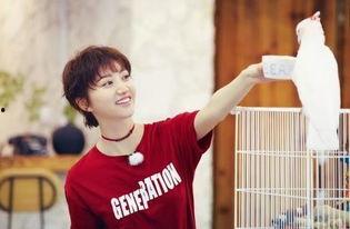 展羽最新吃瓜,揭秘娱乐圈幕后真相