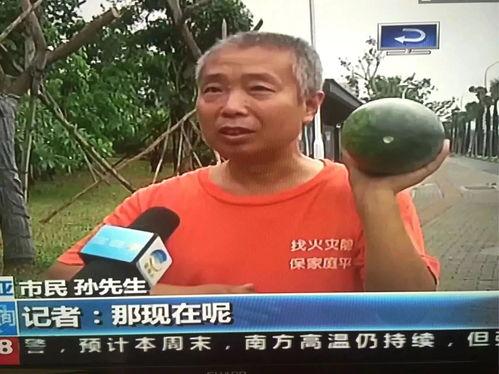 恐怖吃瓜群众事件,揭秘网络暴力的阴影面