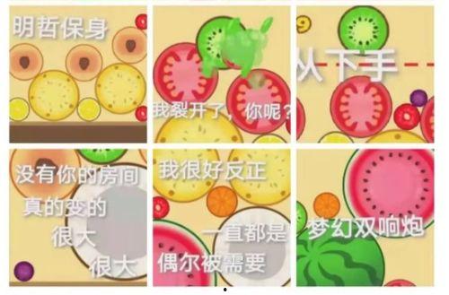 泡泡爆料吃瓜,泡泡爆料，吃瓜群众狂欢时刻