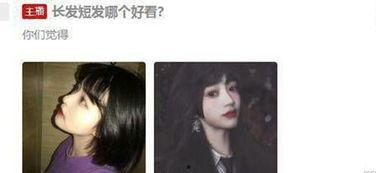 素人吃瓜系统,网络舆论场中的新现象