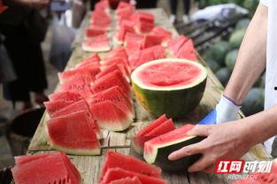 郴州吃瓜打架,一场闹剧背后的社会现象