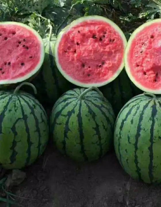 在哪里可吃瓜好,畅享夏日清凉时光