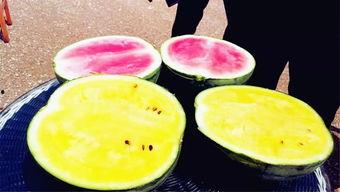 西安最新吃瓜爆料,揭秘网红美食背后的秘密风暴