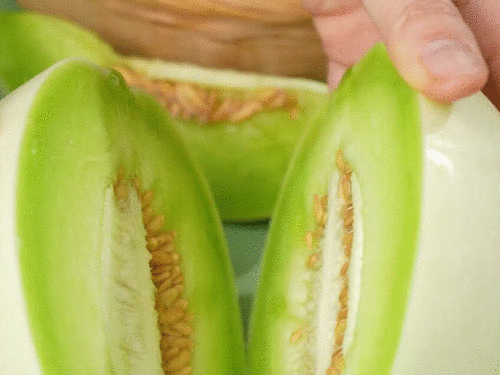 山东玉瓜怎么吃,解锁美味新体验