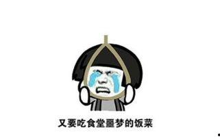 吃瓜吃桃说说心情短语,桃李满园——畅享夏日心情短语