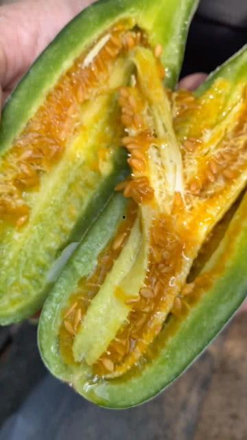 迷你黄色瓜怎么吃,迷你黄色瓜的多样食用攻略