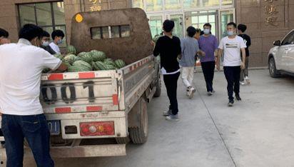 西宁吃瓜新闻,揭秘网络舆论背后的真相与反思