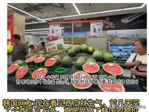 中国网友吃瓜视频,吃瓜视频背后的网络现象解析