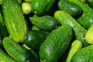 梦见常吃的瓜,揭秘常吃瓜果的梦境寓意