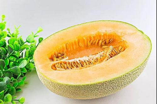 吃瓜养生小说,穿越时空的美食疗愈之旅