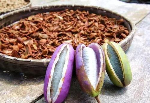 慢性湿疹可以吃八月瓜吗,慢性湿疹患者的天然食疗选择