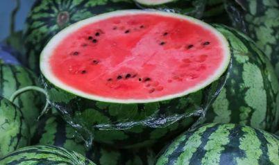 吃瓜记住几个,那些年我们一起吃过的瓜