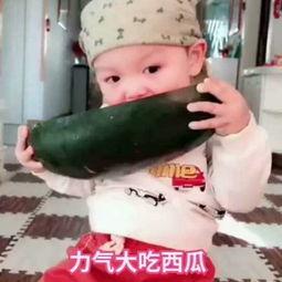 果宝吃瓜视频,揭秘娱乐圈幕后故事