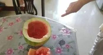 满满回忆吃瓜群众,那些年我们一起追的明星八卦