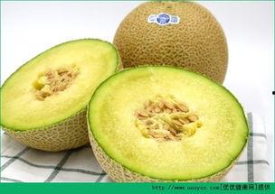 宝宝秋天吃哈密瓜,哈密瓜的甜蜜滋养之旅”