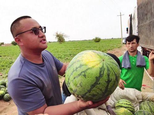 响水吃瓜新闻事件,吃瓜群众背后的真相与反思