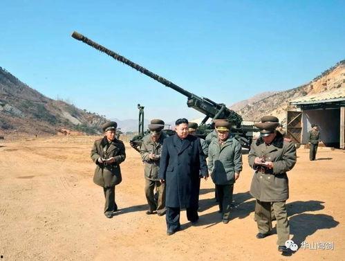 王大炮吃瓜免费,揭秘娱乐圈幕后真相