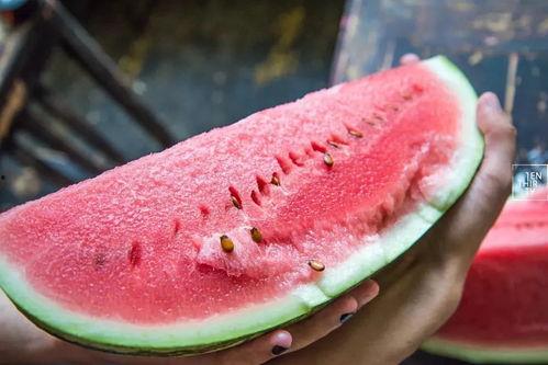 石头瓜能吃嘛怎么吃,石头瓜的食用方法与美味探索