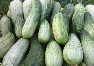 孩子可以吃酥瓜吗,酥瓜是否适合孩子食用？