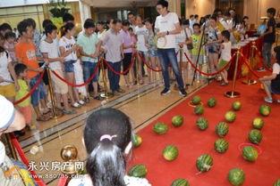 吃瓜群众热闹视频,热闹视频背后的故事与真相