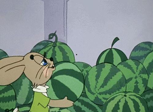 梦见买了个瓜吃,一梦买瓜，品味人生百味