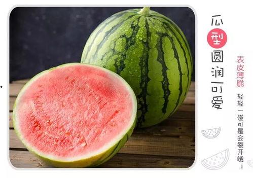 汉化界的泥石流吃瓜吃瓜,吃瓜群众围观下的文化碰撞与融合