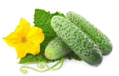 吃瓜系统温纤纤,吃瓜系统中的美食探索之旅