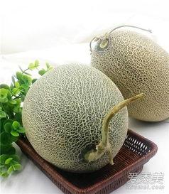 柯基可以吃哈密瓜吗,哈密瓜的适宜性探讨