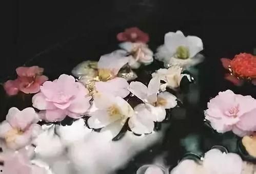 落花神女吃瓜,一场仙凡交织的神秘瓜事