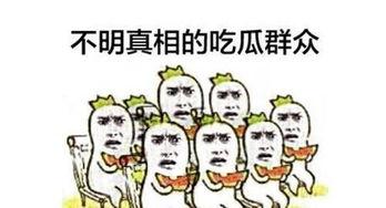 吃瓜群众怎样讲,他们眼中的娱乐圈风云