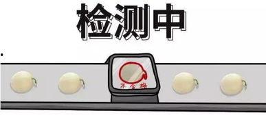 吃瓜怎么回答问题,吃瓜群众视角下的热点问题解析
